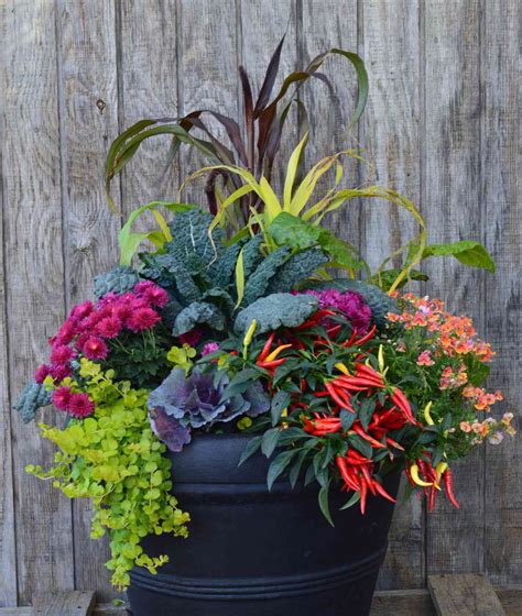 A selection of colorful containers used for urban gardening displayed on a balcony.