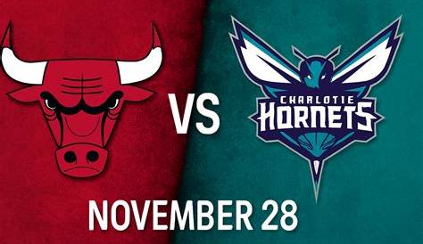 Understanding the 1997–98 Charlotte Hornets Season and Its Impact