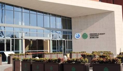 What You Need to Know About Dingwen Academy