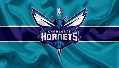 Understanding the 1991–92 Charlotte Hornets Season and Its Legacy