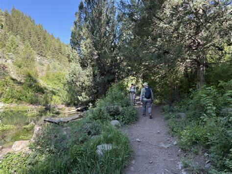 A group of hikers taking a break on the Willow Creek Trail, enjoying the forest scenery.