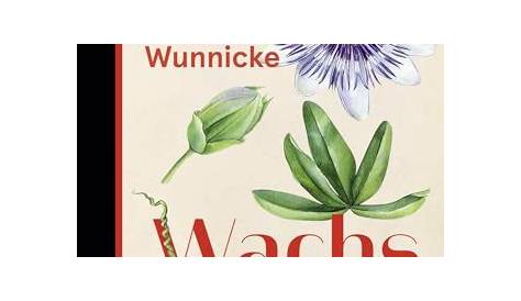 Understanding Christine Wunnicke: Her Works and Impact