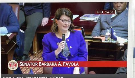 Understanding Barbara Favola: Her Role and Impact in Virginia Politics