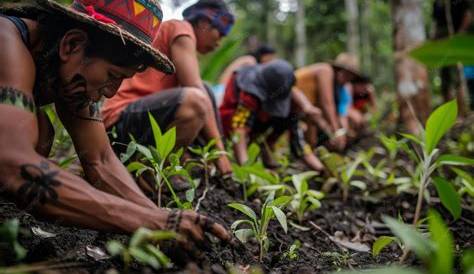 How Indigenous Peoples Protect the Environment
