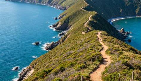 Exploring The Salt Path: A Journey Through Nature