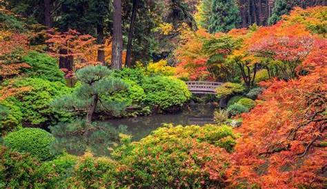 Exploring Goose Hollow: A Neighborhood Guide