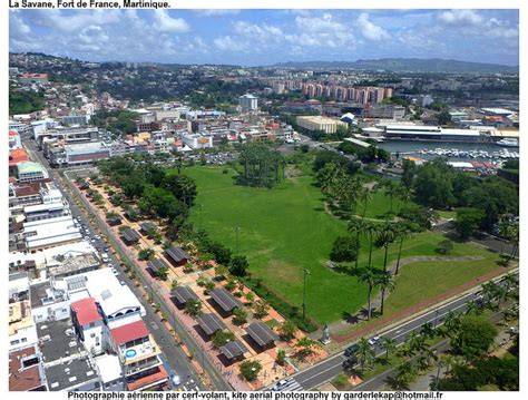 People relaxing and walking in La Savane Park with trees and sculptures.